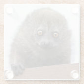 Baby Lemur Glas Onderzetter (Achterkant)
