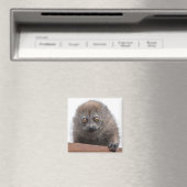 Baby Lemur Magneet (Insitu (Vaatwasser))