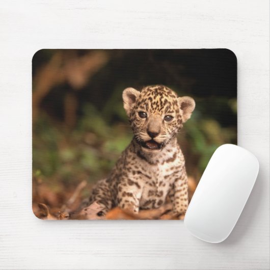 Baby Leopard Mousepad Muismat (Met muis)