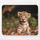 Baby Leopard Mousepad Muismat (Voorkant)
