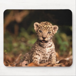 Baby Leopard Mousepad Muismat