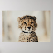 BABY LEOPARD POSTER (Voorkant)