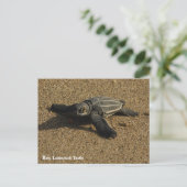 Baby-letherbackschildpad Briefkaart (Staand voorkant)
