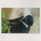 Baby L'Hoest Monkey Legpuzzel (Horizontaal)