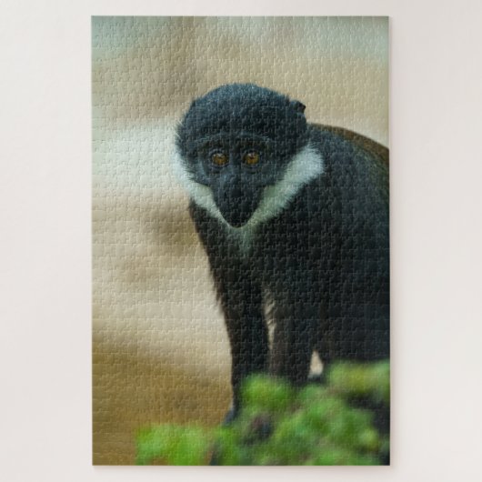 Baby L'Hoest Monkey Legpuzzel (Verticaal)