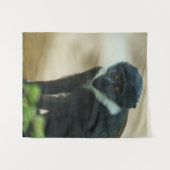Baby L'Hoest Monkey Wandkleed (Voorkant (horizontaal))