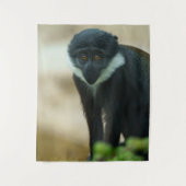 Baby L'Hoest Monkey Wandkleed (Voorkant)