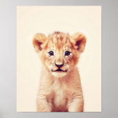 Baby Lion Poster (Voorkant)