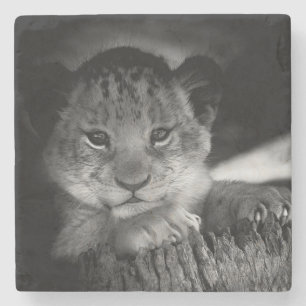 Baby Lion Stenen Onderzetter