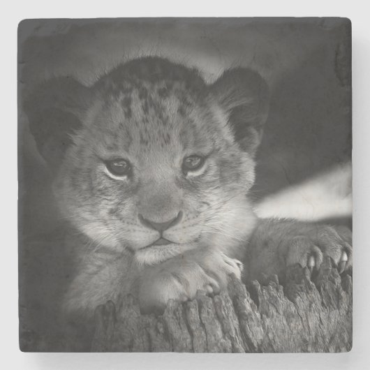 Baby Lion Stenen Onderzetter (Voorkant)