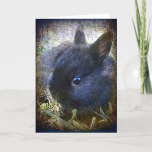 Baby Lionhead Bunny All Occasions Kaart