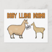 Baby Llama Drama Briefkaart (Voorkant)
