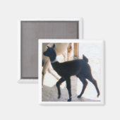 BABY LLAMA MAGNEET (Voorkant / Achterkant)