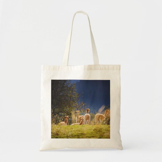Baby Llamas in een veld Tote Bag (Voorkant)