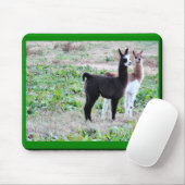 Baby Llamas Mousepad Muismat (Met muis)