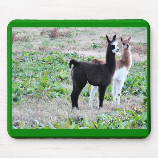 Baby Llamas Mousepad Muismat (Voorkant)