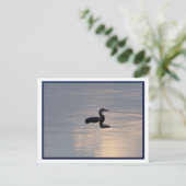 Baby Loon/Noord-MN-Briefkaart Briefkaart (Staand voorkant)