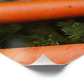 Baby Lop-eared konijn knuffelen wortels Perfect Poster (Hoek)