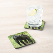 Baby Lowland Gorilla op moeders rug Bier Onderzetter (Rechterzijde)