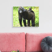Baby Lowland Gorilla op moeders rug Canvas Afdruk (Insitu (Woonkamer))