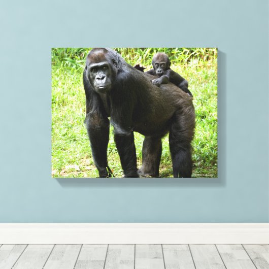 Baby Lowland Gorilla op moeders rug Canvas Afdruk (Insitu (Houten vloer))