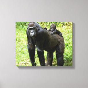 Baby Lowland Gorilla op moeders rug Canvas Afdruk