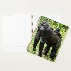 Baby Lowland Gorilla op moeders rug Planner