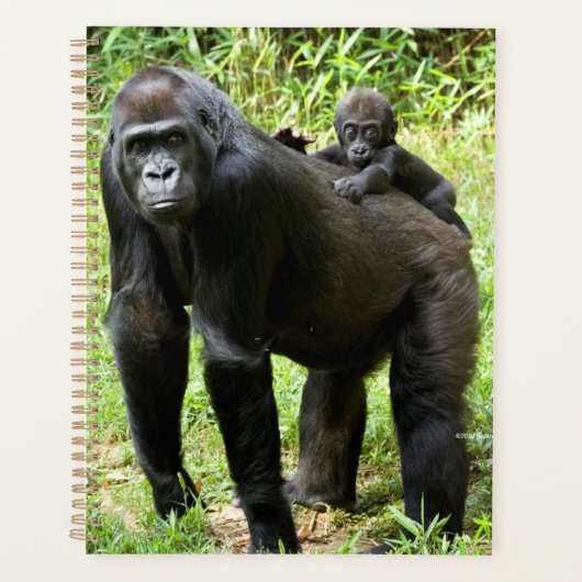 Baby Lowland Gorilla op moeders rug Planner (Voorkant)