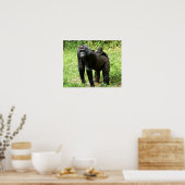 Baby Lowland Gorilla op moeders rug Poster (Keuken)