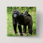 Baby Lowland Gorilla op moeders rug Vierkante Button 5,1 Cm (Voorkant)