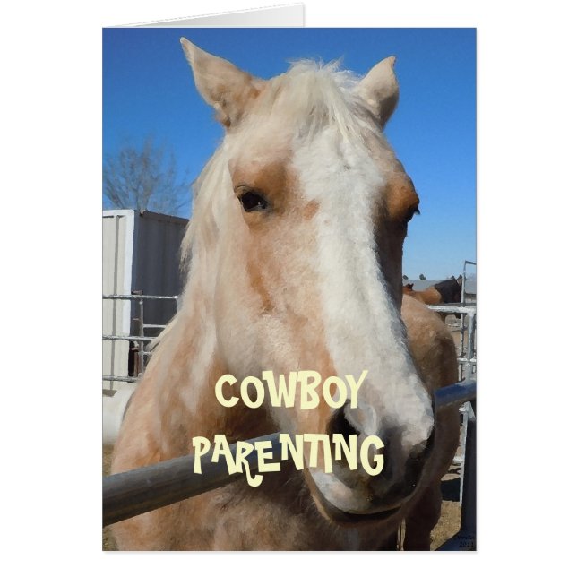 Baby-luiers - Cowboy-Ouderschap (Voorkant)