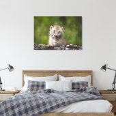 Baby Lynx kijkt over een gestorven boom Canvas Afdruk (Insitu (Slaapkamer))