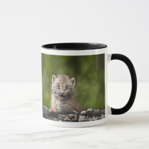 Baby Lynx kijkt over een gestorven boom Mok