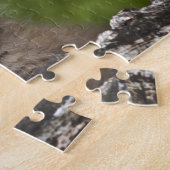 Baby Lynx (Lynx Canadensis) kijkt over een Legpuzzel (Zijkant)