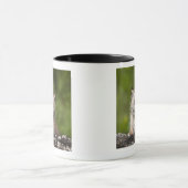 Baby Lynx (Lynx Canadensis) kijkt over een Mok (Midden)