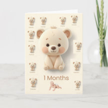 Baby Maandelijkse Mijlpakket Kaarten