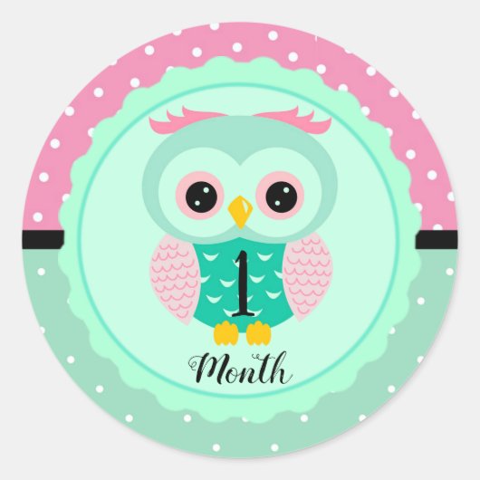 Baby maandstickers ronde sticker (Voorkant)