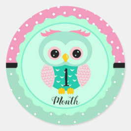 Baby maandstickers ronde sticker