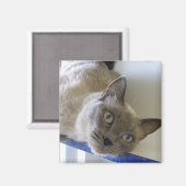 Baby Magneet (Voorkant / Achterkant)