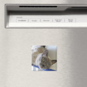 Baby Magneet (Insitu (Vaatwasser))