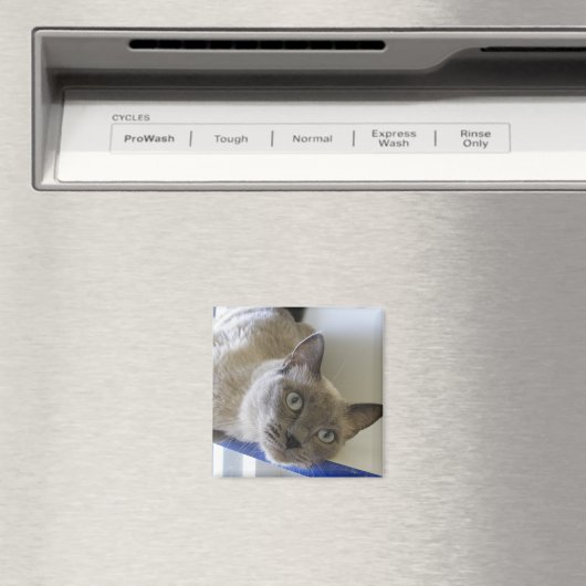 Baby Magneet (Insitu (Vaatwasser))