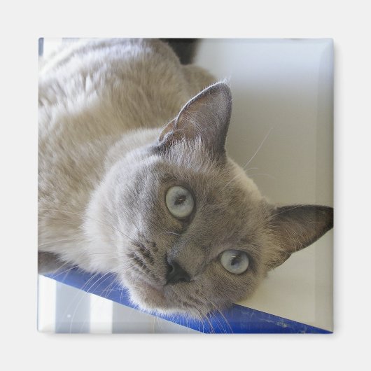 Baby Magneet (Voorkant)