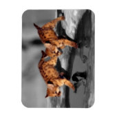Baby Magneet (Verticaal)