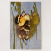 Baby Mallard Duck Swimming Legpuzzel (Verticaal)