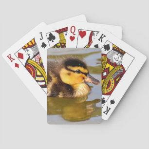 Baby Mallard Duck Swimming Pokerkaarten