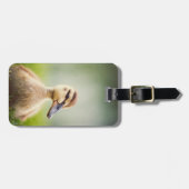 Baby Mallard Ducking Bagagelabel (Voorkant horizontaal)