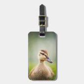 Baby Mallard Ducking Bagagelabel (Voorkant verticaal)