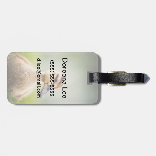 Baby Mallard Ducking Bagagelabel (Achterkant horizontaal)