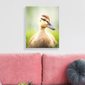 Baby Mallard Ducking Canvas Afdruk (Insitu (Woonkamer))