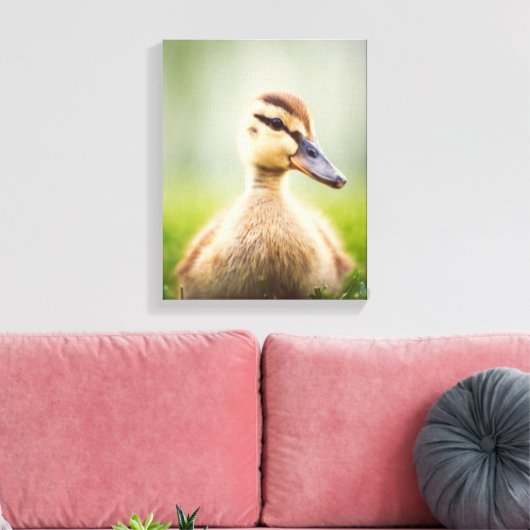 Baby Mallard Ducking Canvas Afdruk (Insitu (Woonkamer))